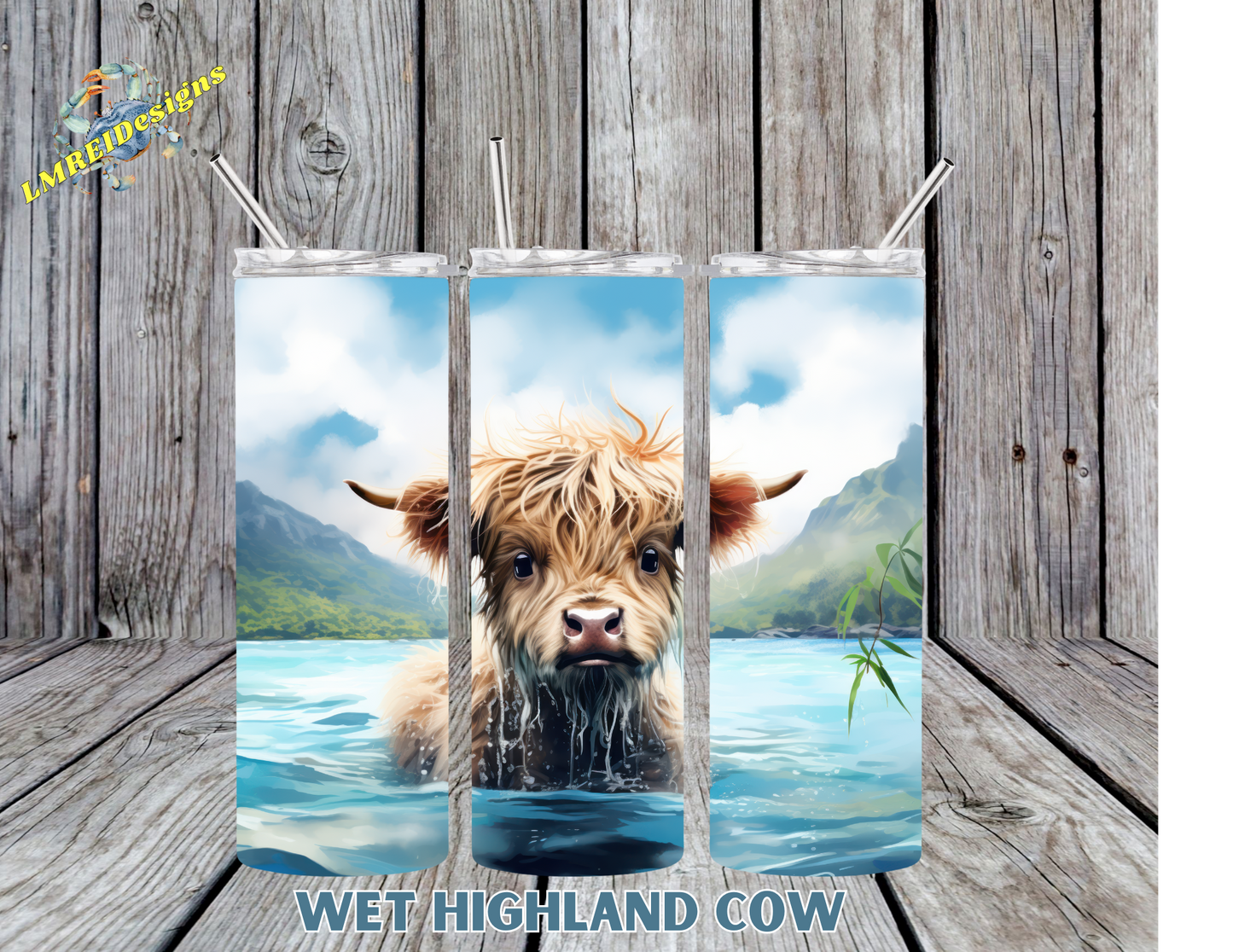 Wet Highland Cow