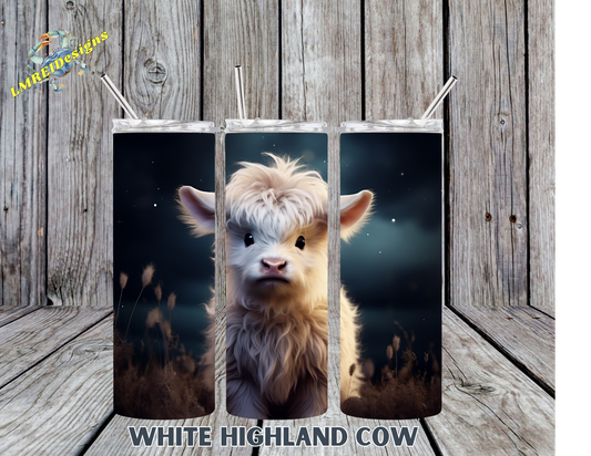 White Highland Cow